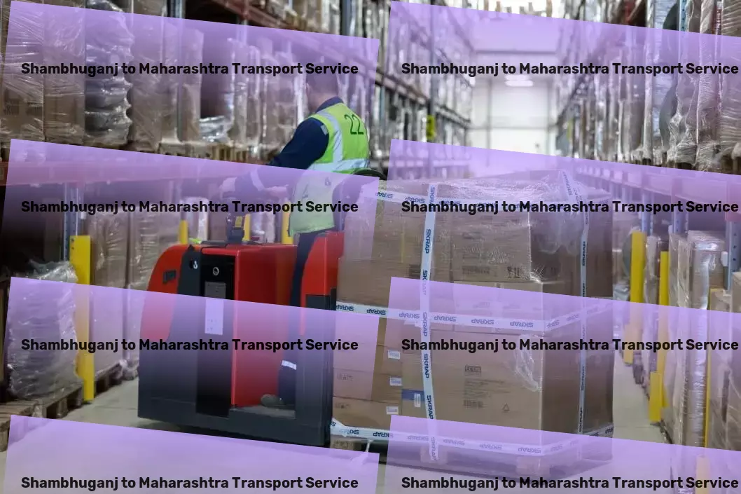 Shambhuganj to Maharashtra Luggage Courier Freight logistics networks