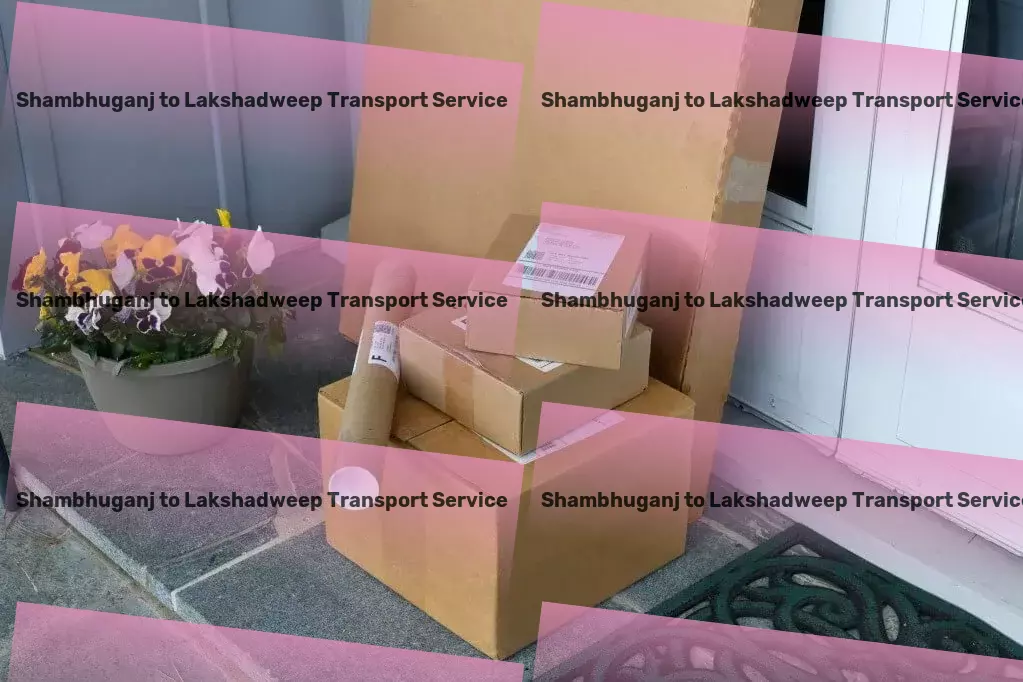 Shambhuganj to Lakshadweep Cargo Furniture logistics solutions