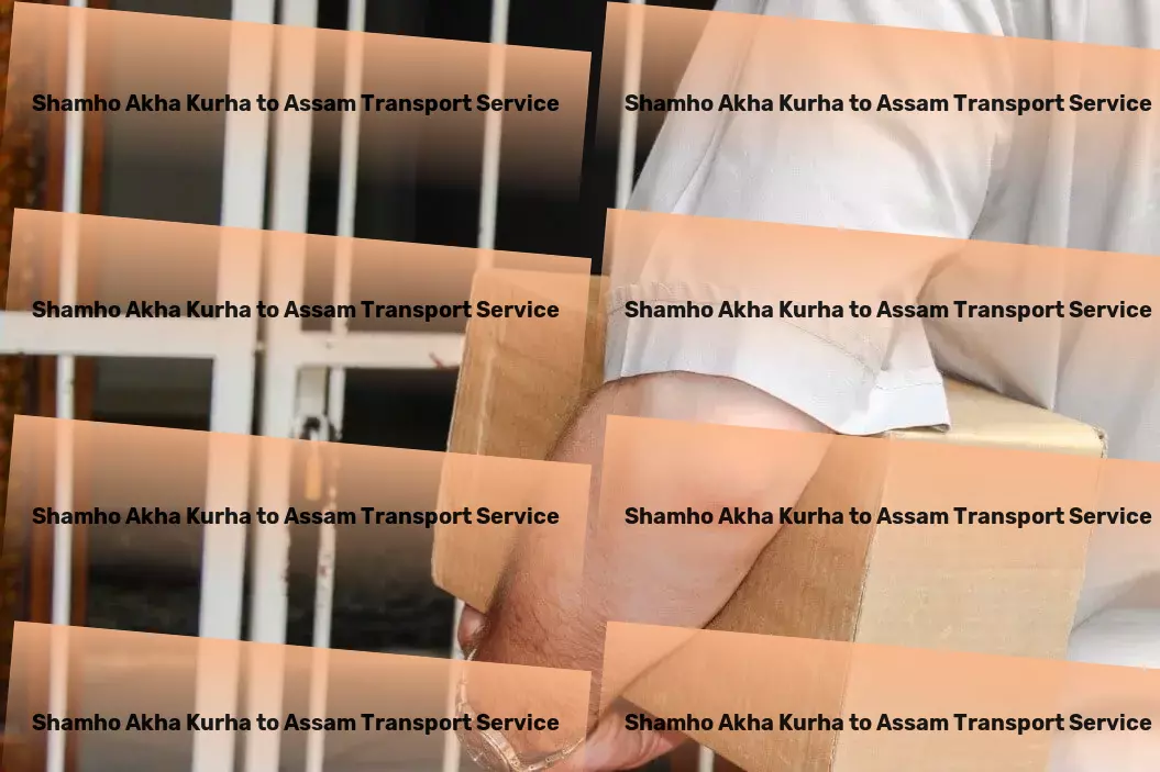 Shamho Akha Kurha to Assam Courier And Parcel Your trusted partner in navigating India's shipping challenges! - Professional package services